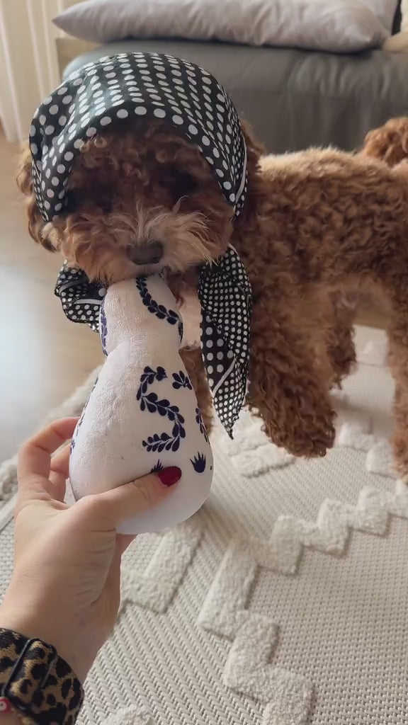 Video laden: Hund mit Tequila Flasche als Spielzeug